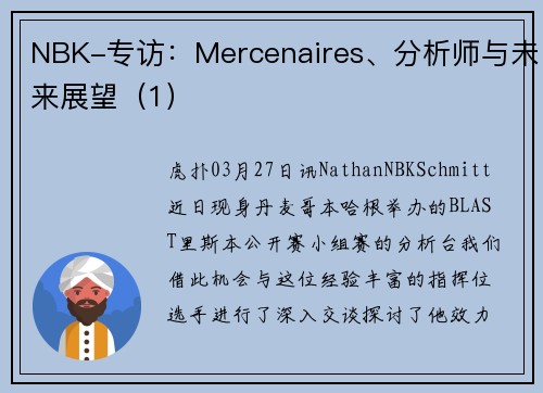 NBK-专访：Mercenaires、分析师与未来展望（1）